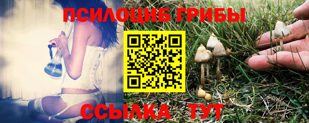 Псилоцибиновые грибы GOLDEN TEACHER Рузаевка